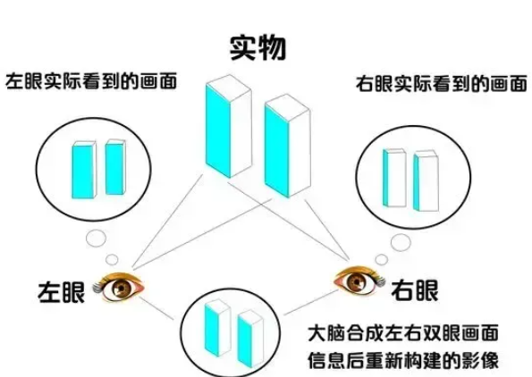 预防近视(图8)